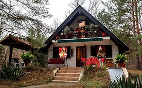 Ladybird Lodge